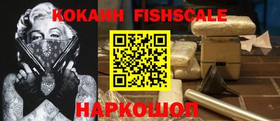 крисы Кулебаки
