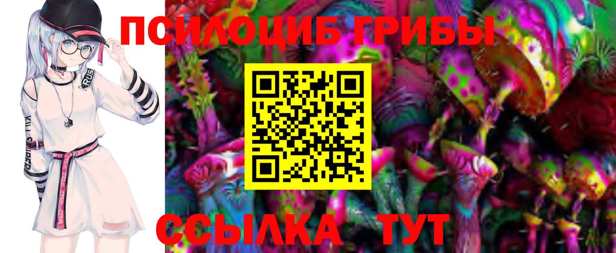 где купить наркоту  Галлюциногенные грибы Cubensis  Железноводск  Вход с VPN  Галлюциногенные грибы Cubensis 